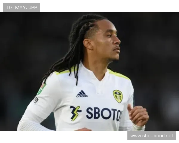 凯塞多战术适应趋势分析，助力球队表现稳定与胜利进阶