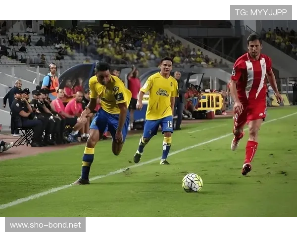 米特罗维奇表现稳健，逐渐重塑在足球界的影响力与地位