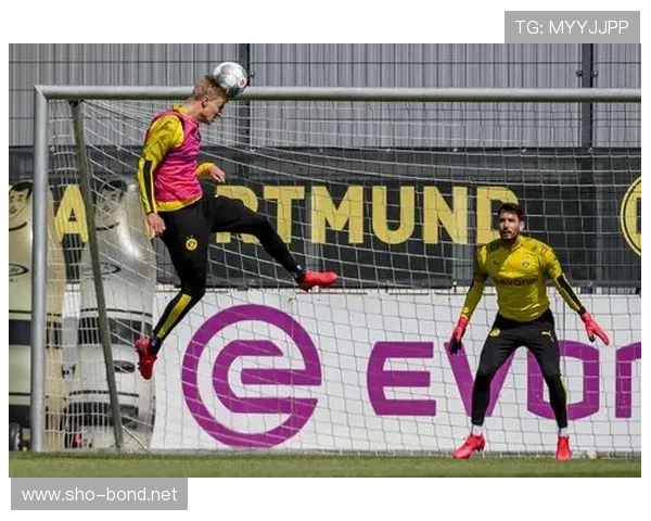 德甲鲁尔区德比战况激烈,多特蒙德与沙尔克04交锋走势清晰