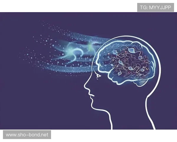 祖布门迪：从纯防守到组织核心的数据进化分析